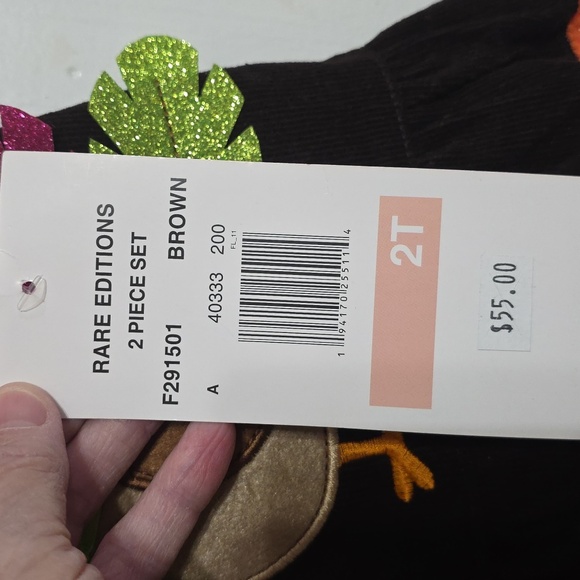 NWT Rare Edition Girls Dress Corduroy Brown Glittery Turkey Thanksgiving Sz 2T - Picture 7 of 10